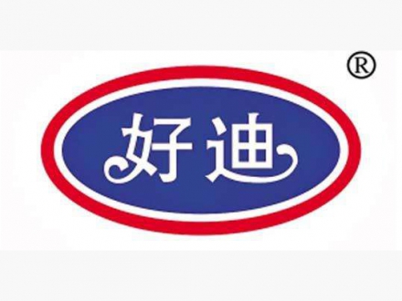 好迪集团